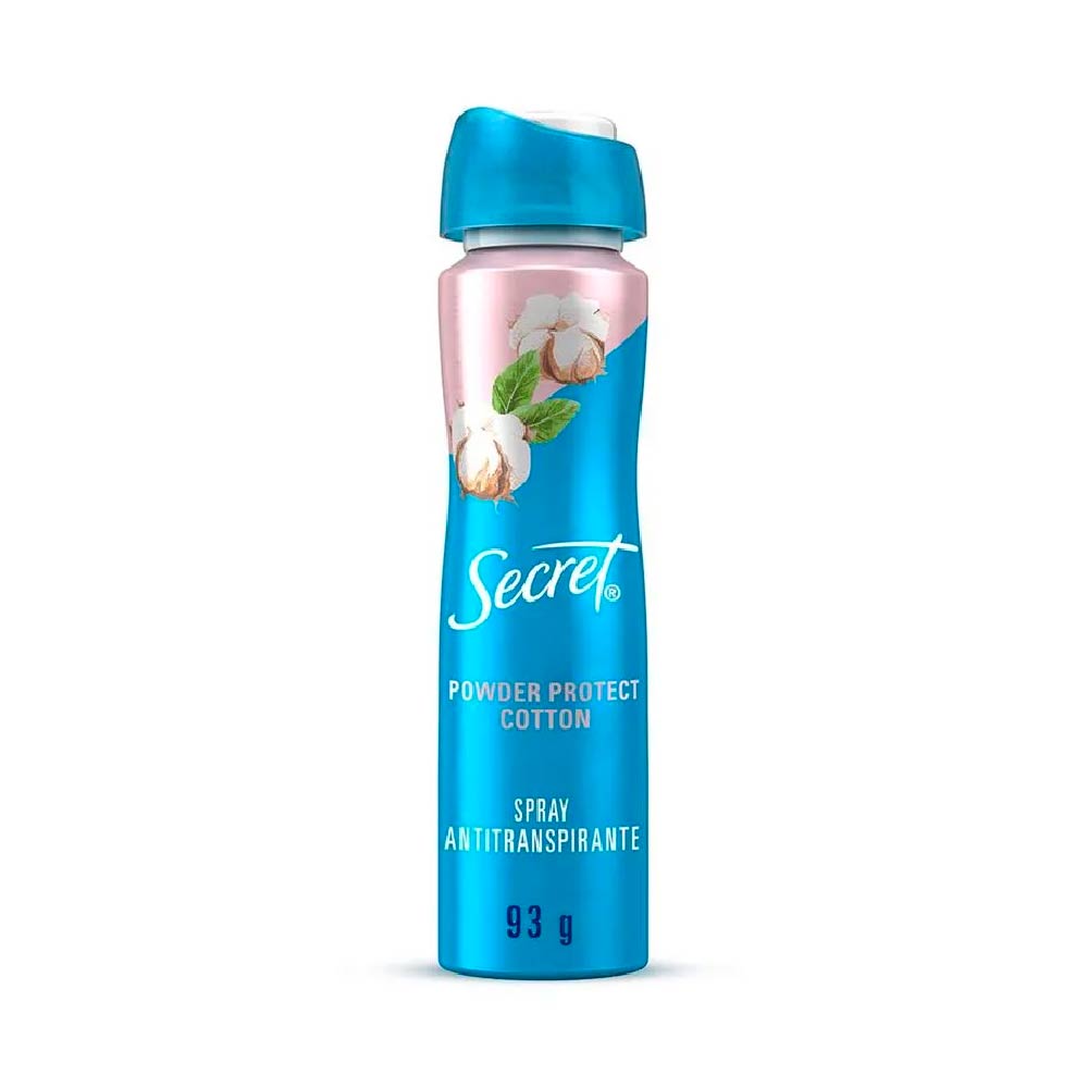 Secret Ap Spray Powder Protect 93 G