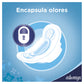 TToalla Fem. Always Active Normal Con Alas 10 Pz