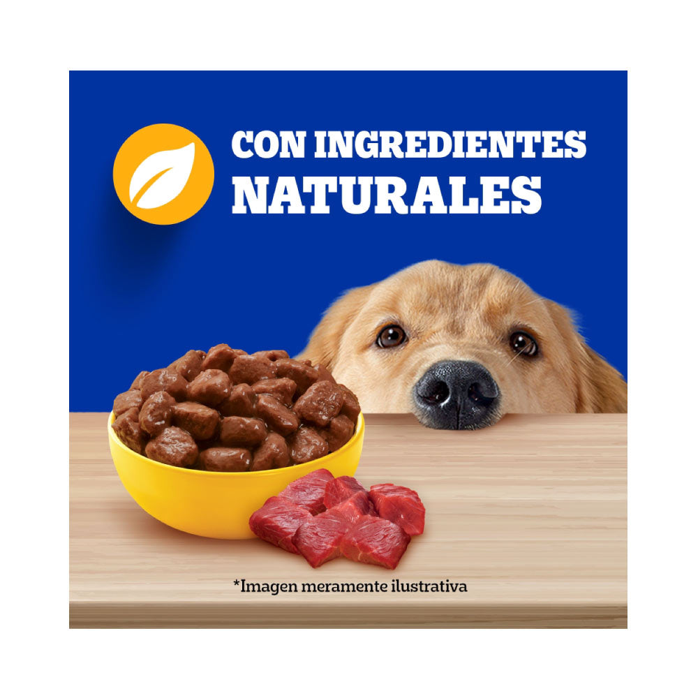 Alimento Húmedo para Perro Pedigree Res Lata 625 Gramos