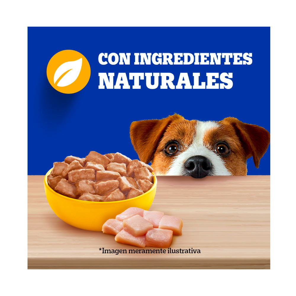 Pedigree Rp Pouch Pollo 100 Gr