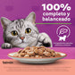 Whiskas Pouch Salmon sobre de 85 gr