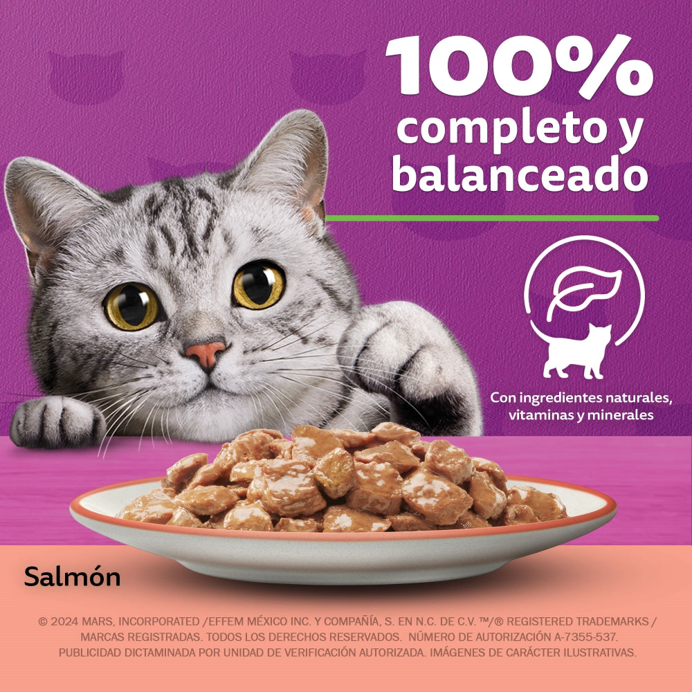 Whiskas Pouch Salmon sobre de 85 gr